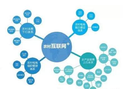 从田间到指尖 零基础如何借助企业管理咨询，打通农产品电商之路