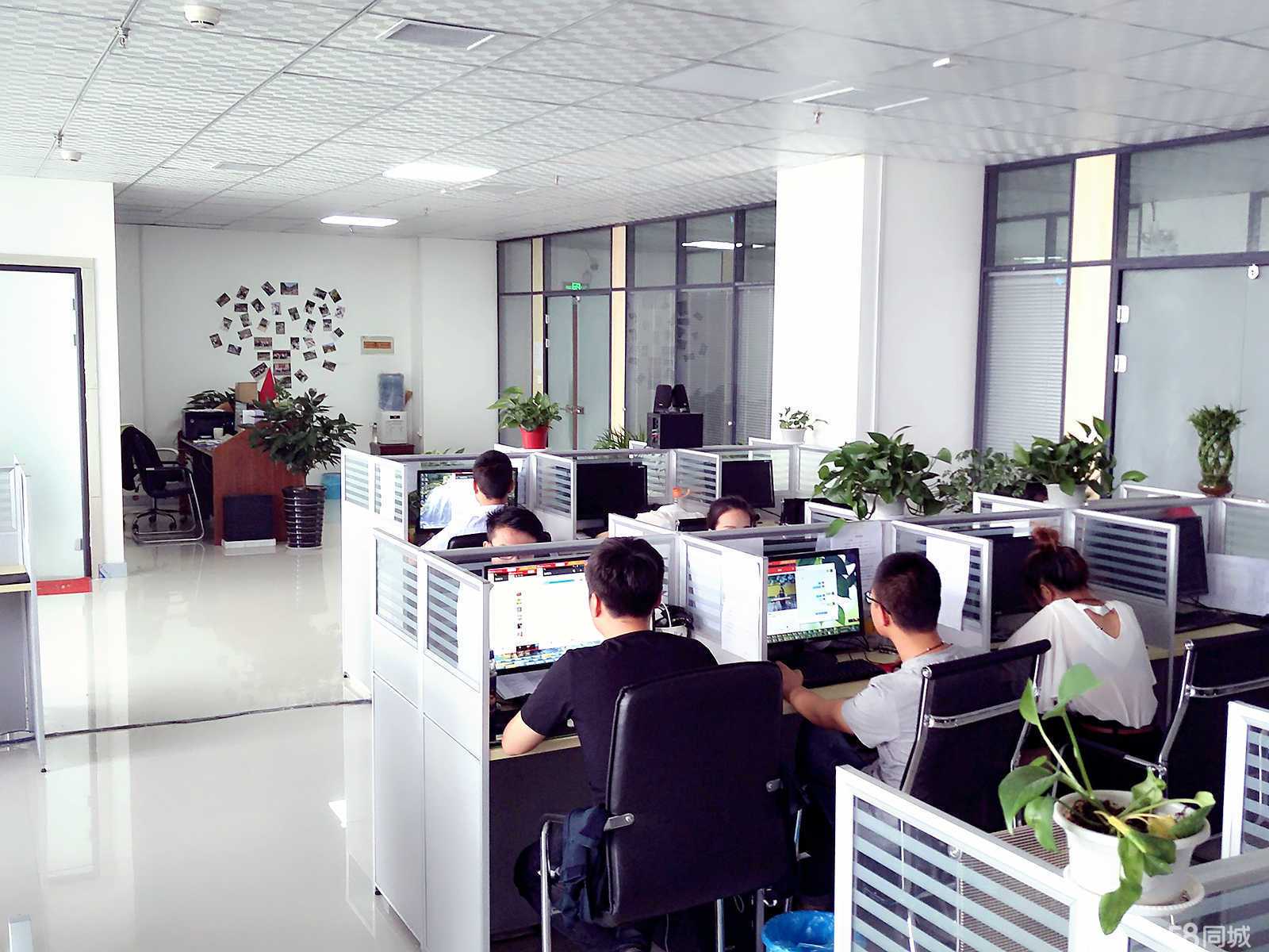 解锁企业管理迷局 郑州卿鑫企业管理咨询的深度服务解析